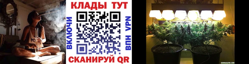 Виды наркоты Курган КОКАИН А ПВП Гашиш Бошки Шишки Меф
