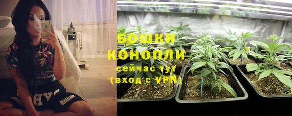 мдпв Вязьма