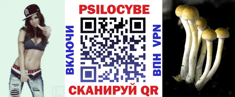 наркота  MEGA   Галлюциногенные грибы прущие грибы  Курган 